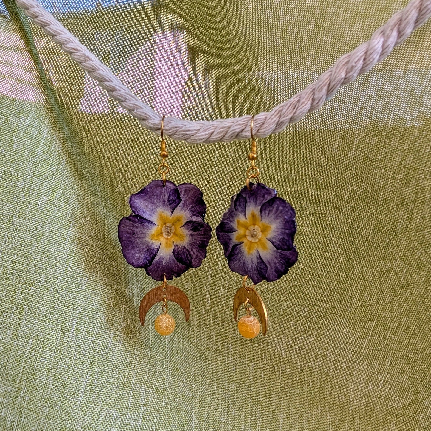 Midnight Primrose Moons