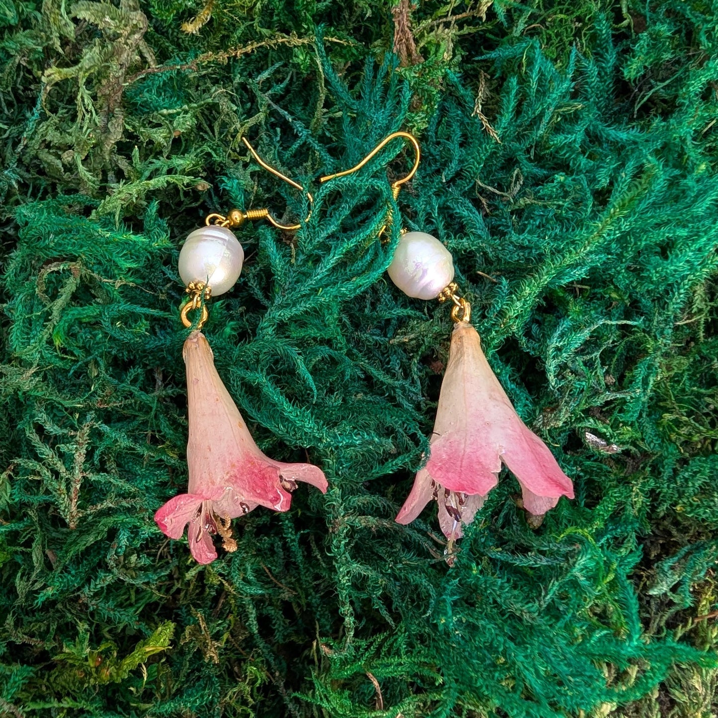Blushing Trumpet Drops