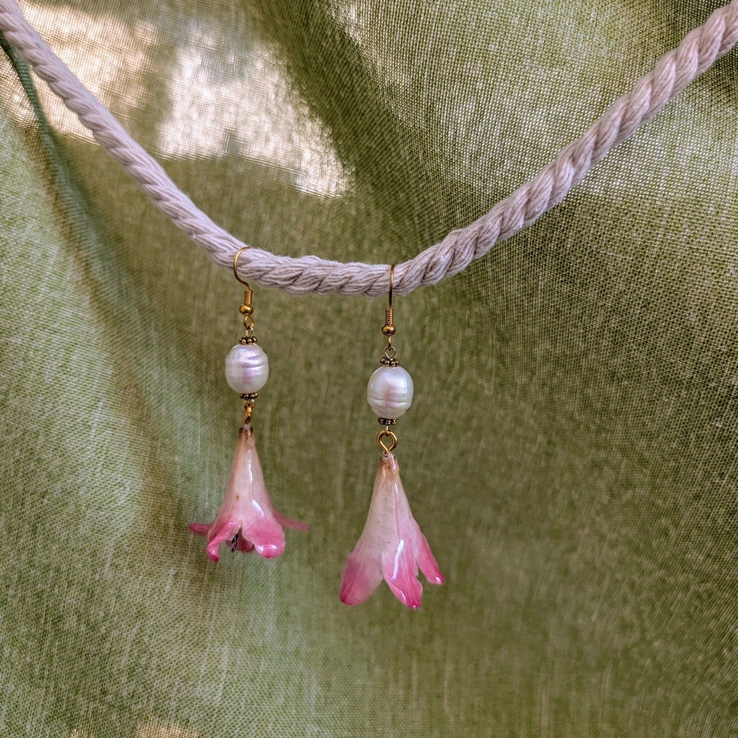 Blushing Trumpet Drops