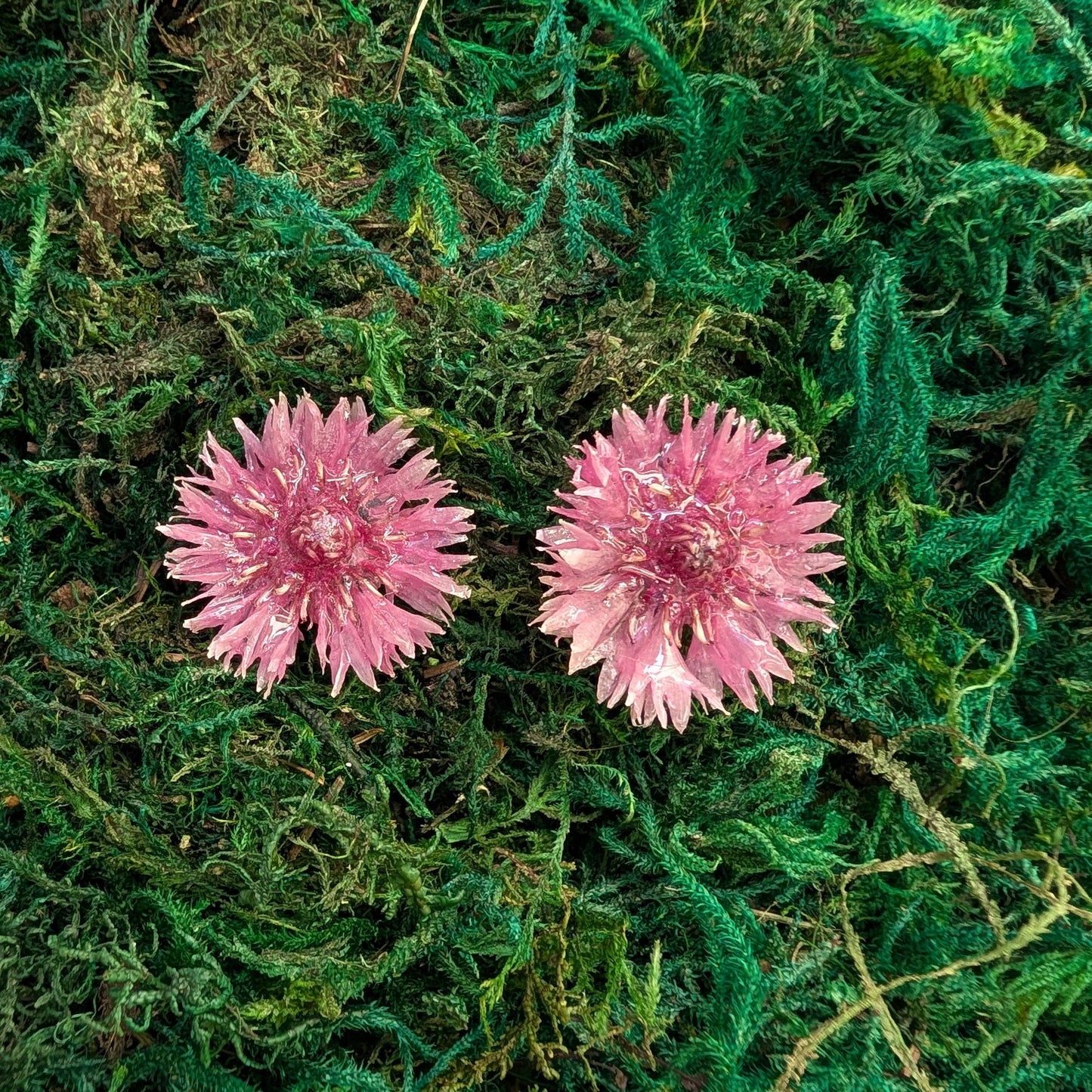 Cornflower Stud Earrings
