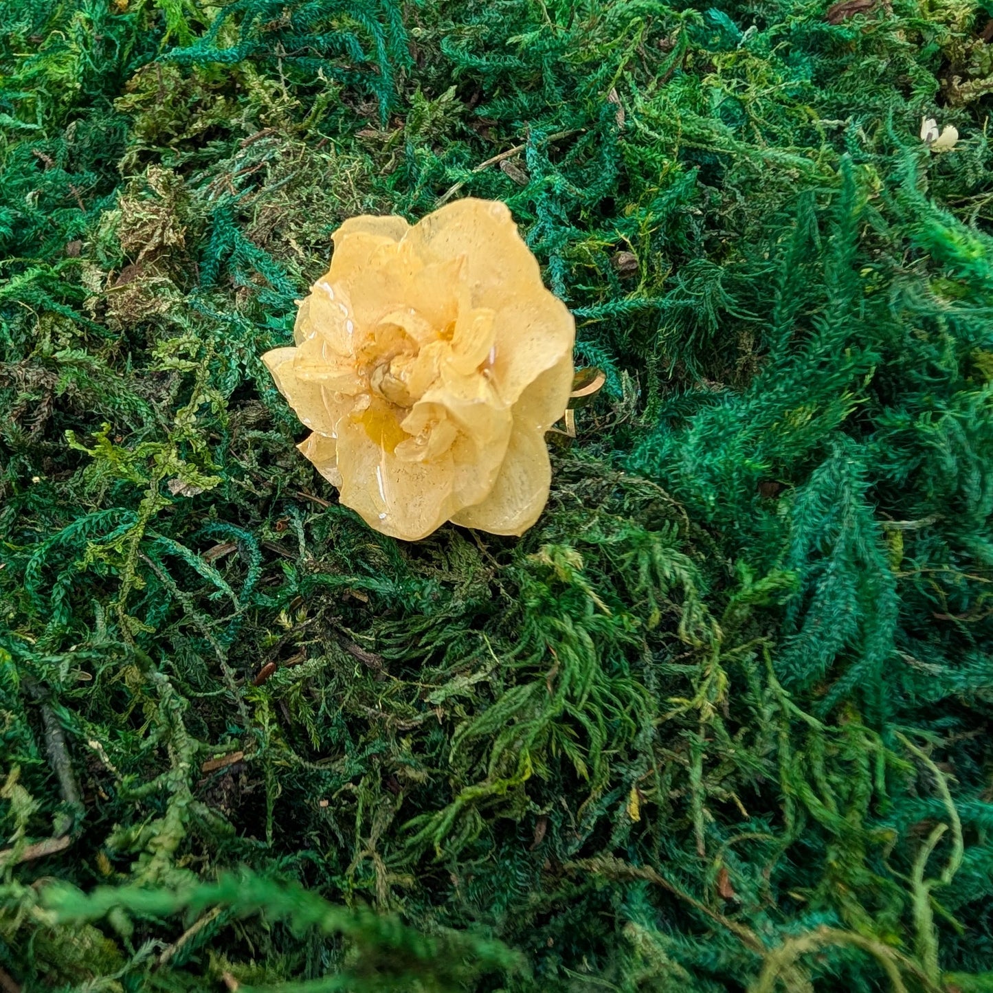 Golden Whisper Daffodil Ring