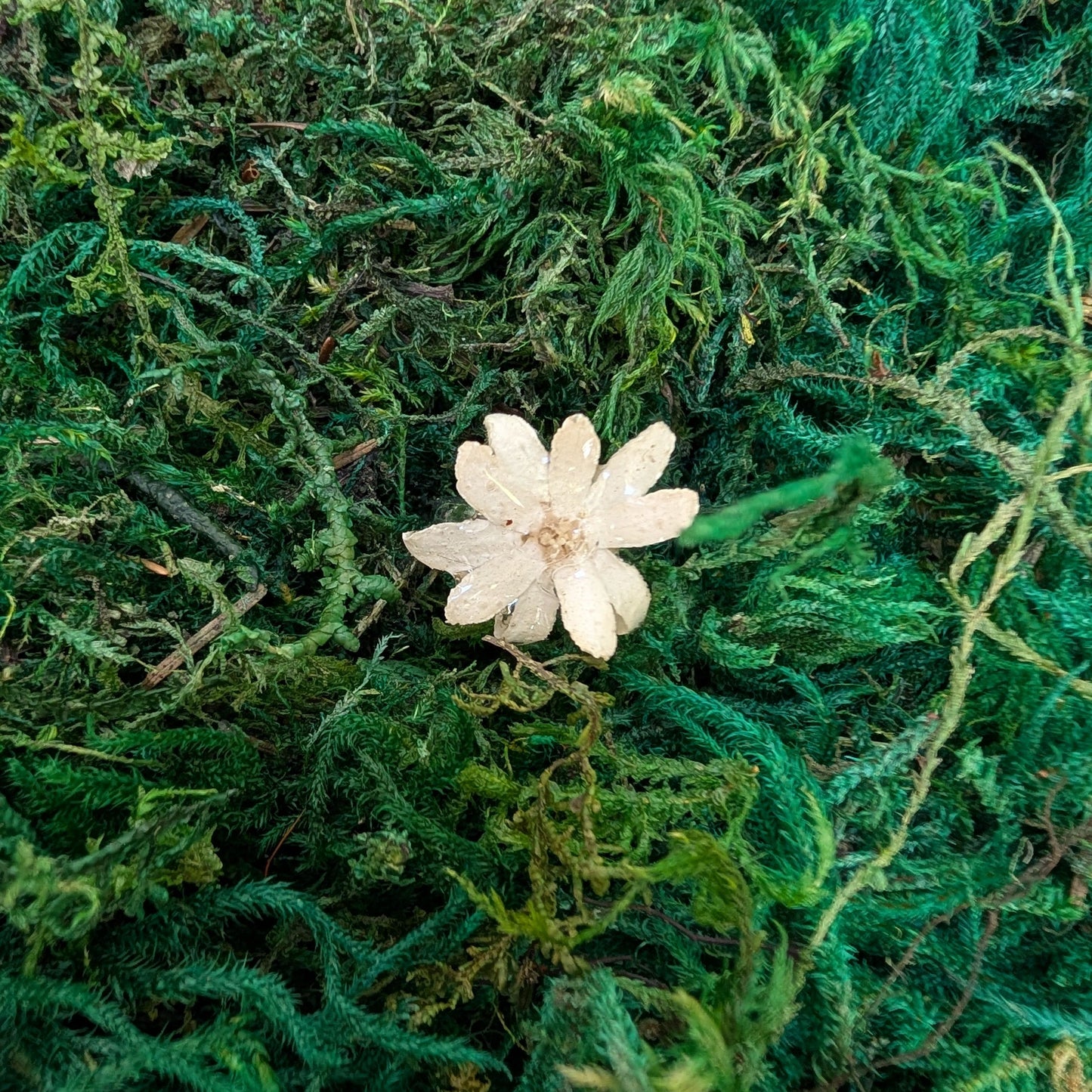 Whisper Petals Ring