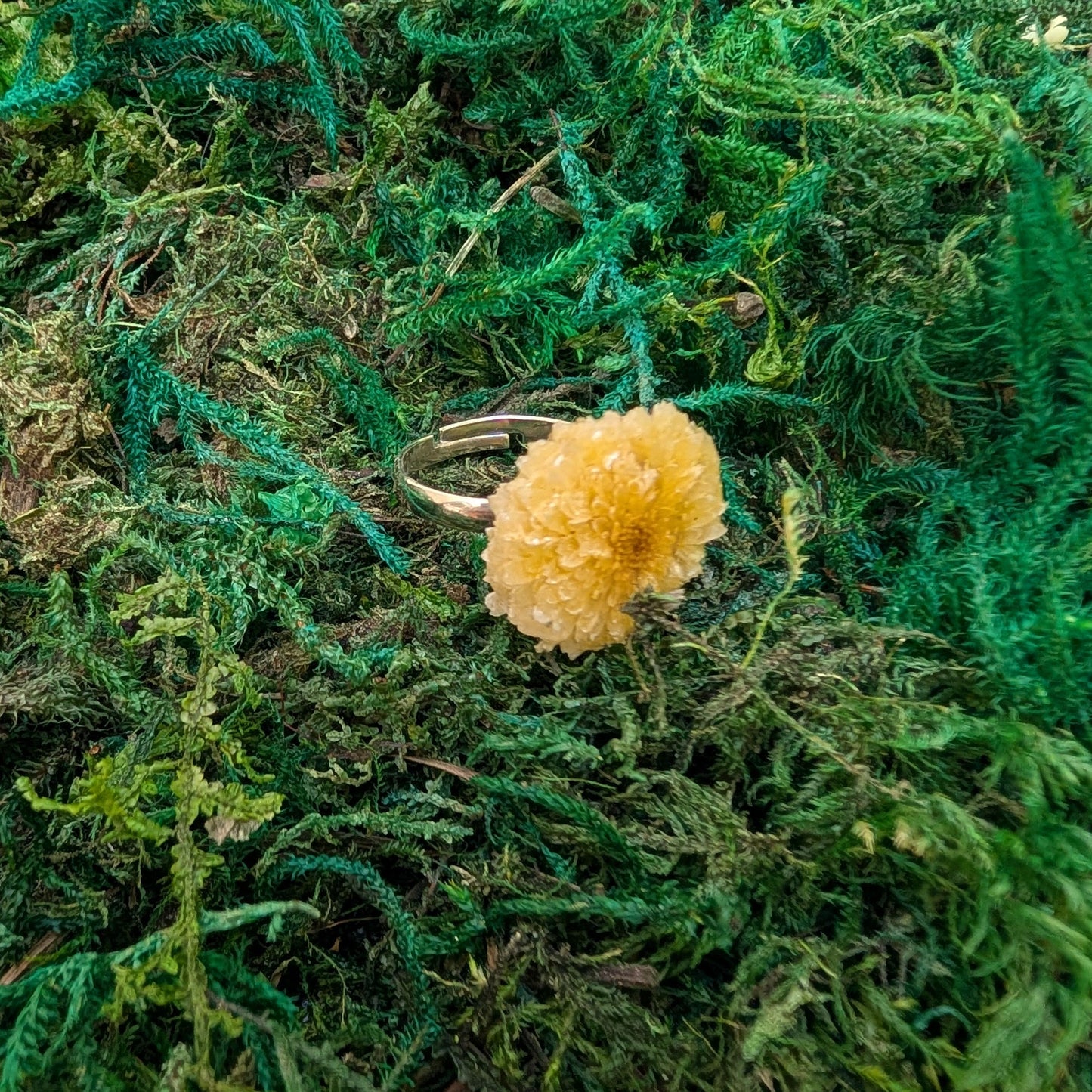 Golden Dandelion Ring