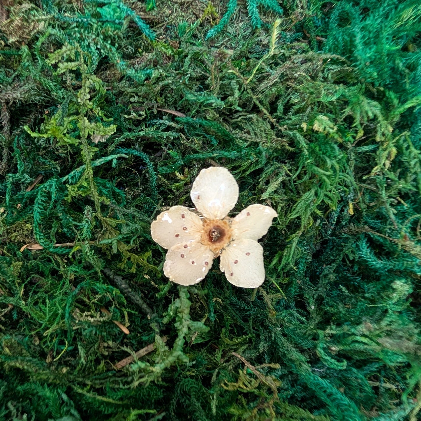 Wild Pear Blossom Ring