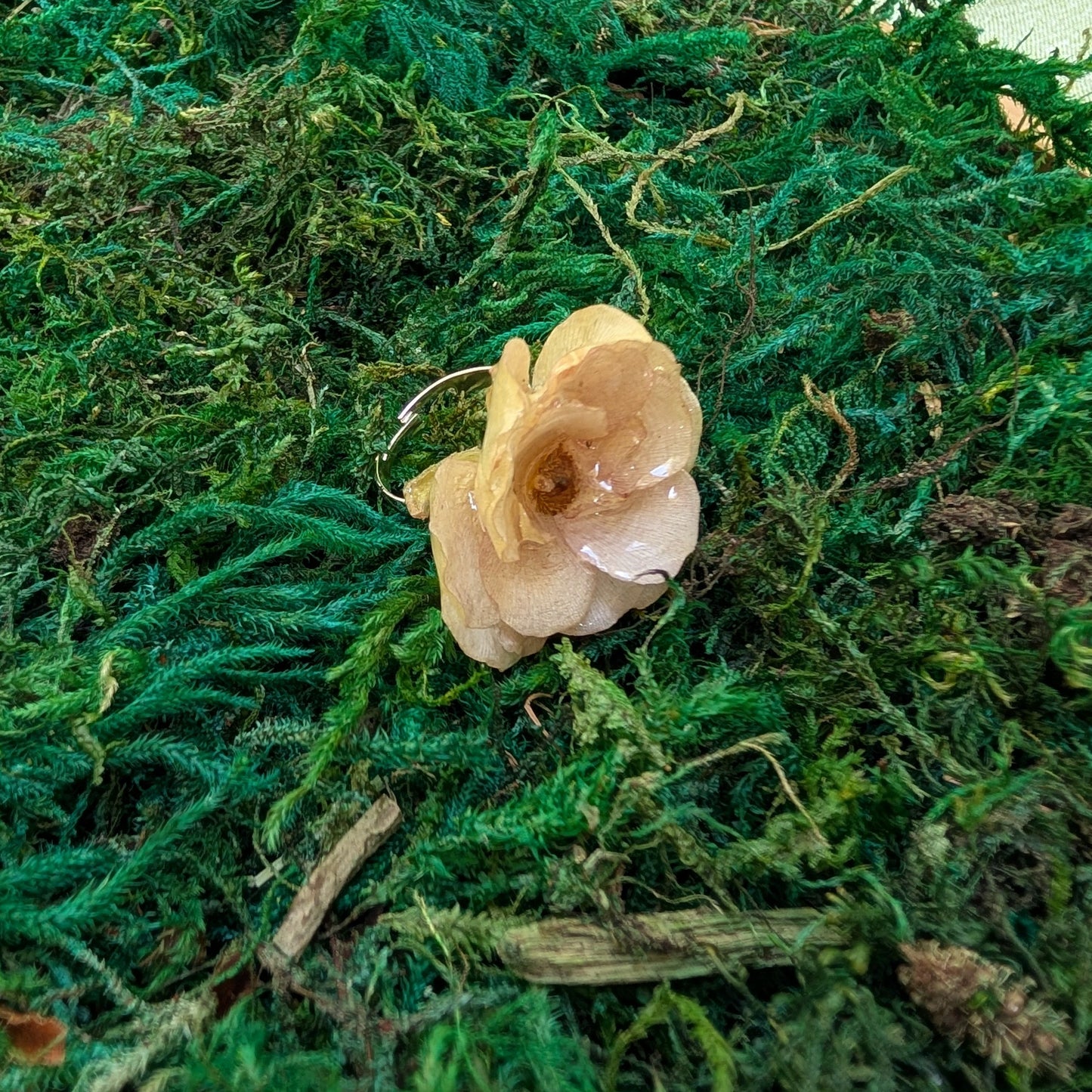 Real Cream Rose Ring