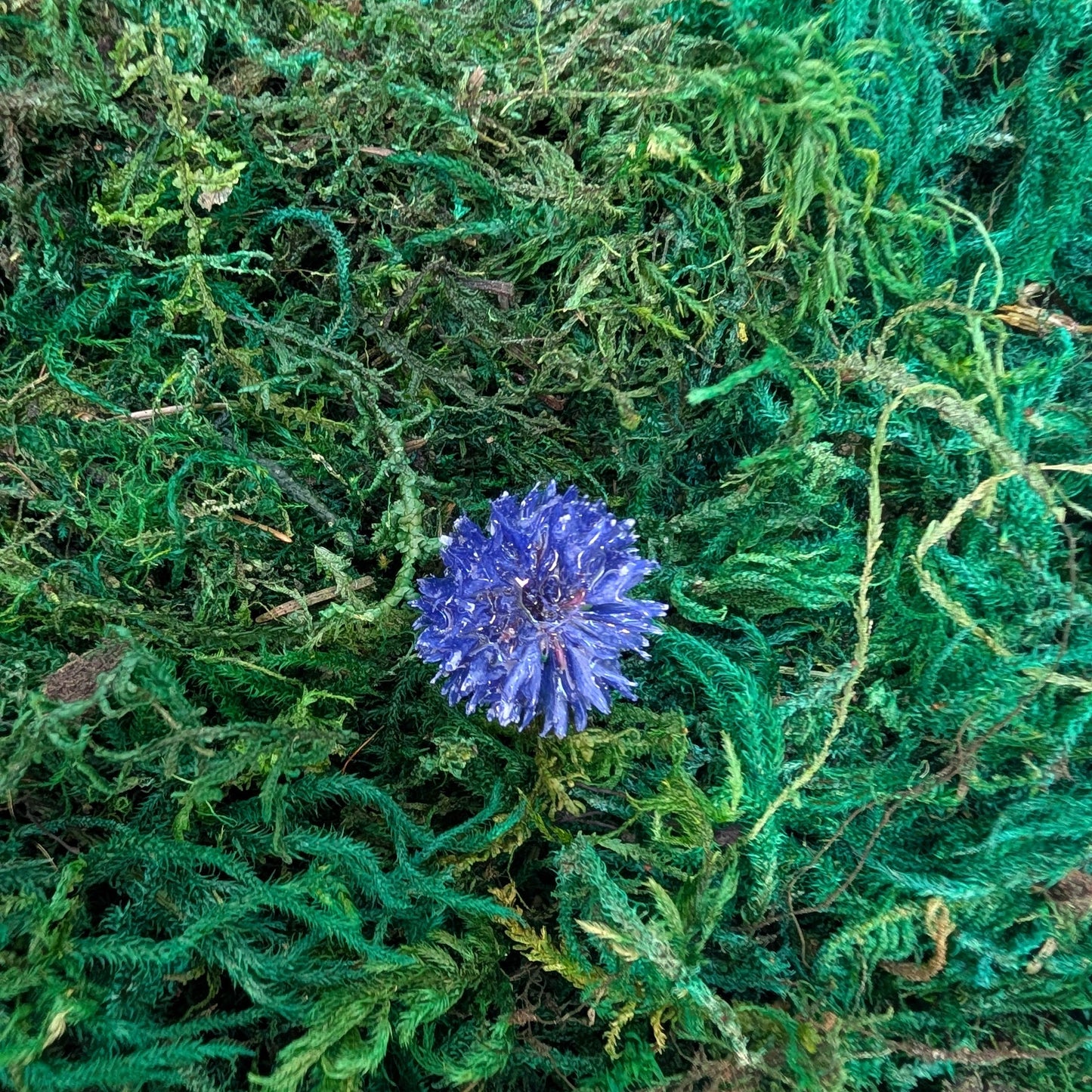 Cornflower Ring