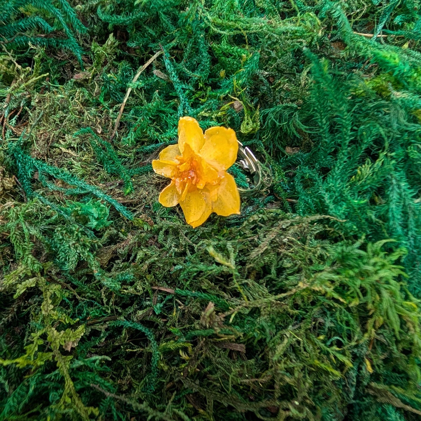 Daffodil Ring