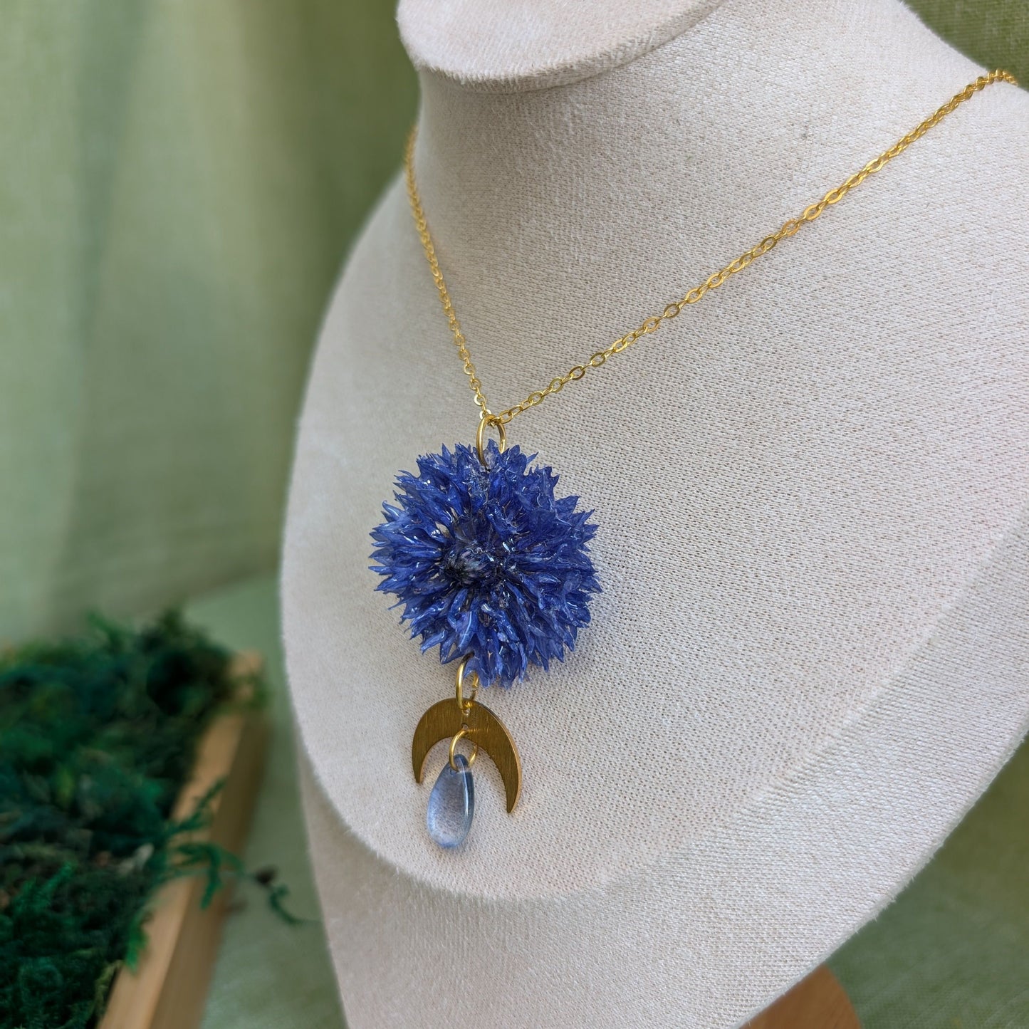 Moonlit Cornflower