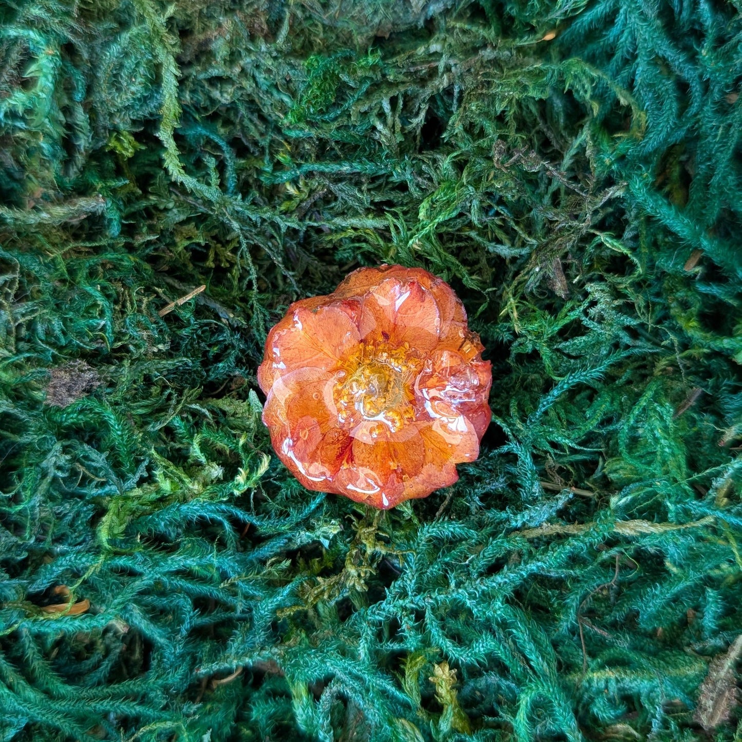 Sunset Bloom Ring