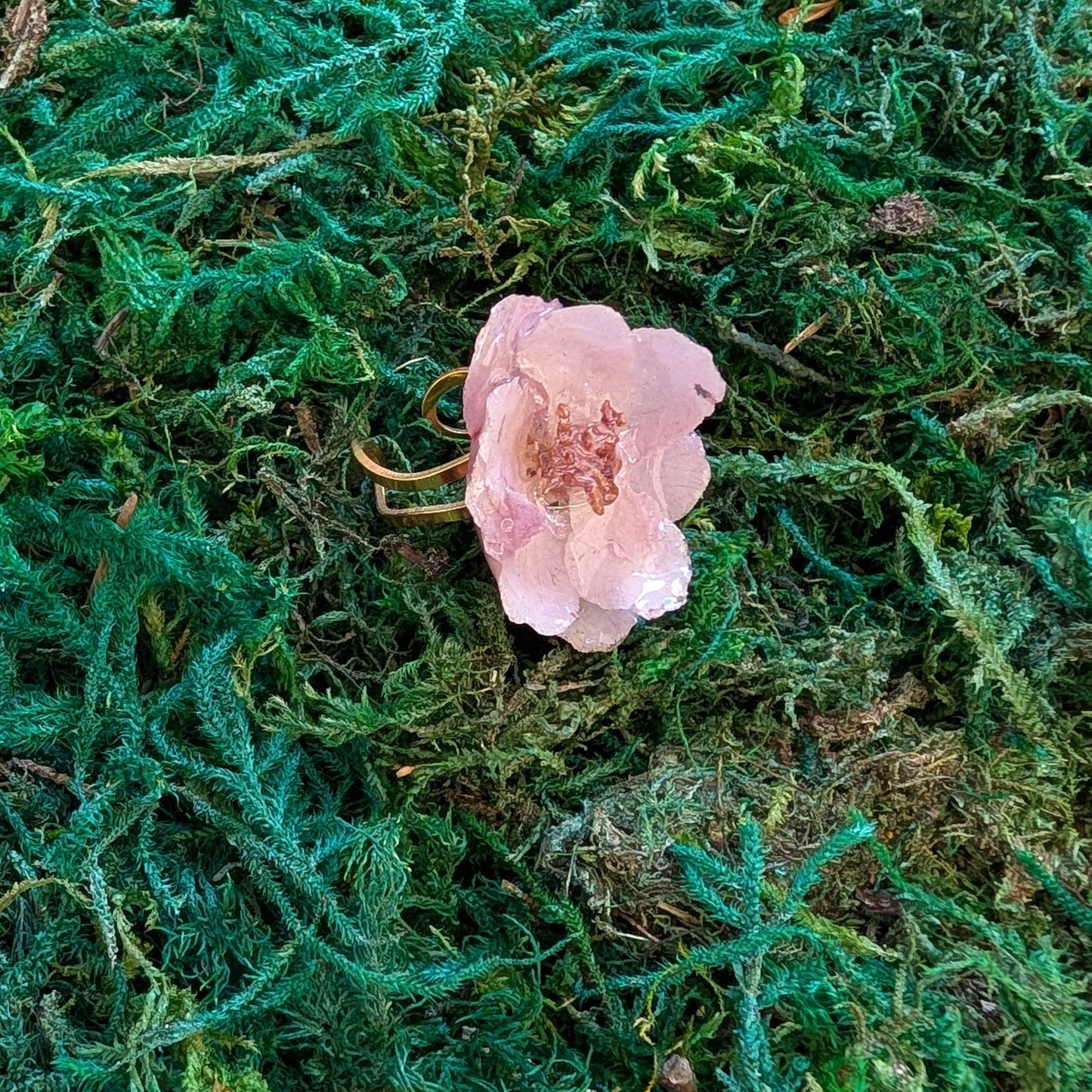 Apple Bloom Real Flower Ring