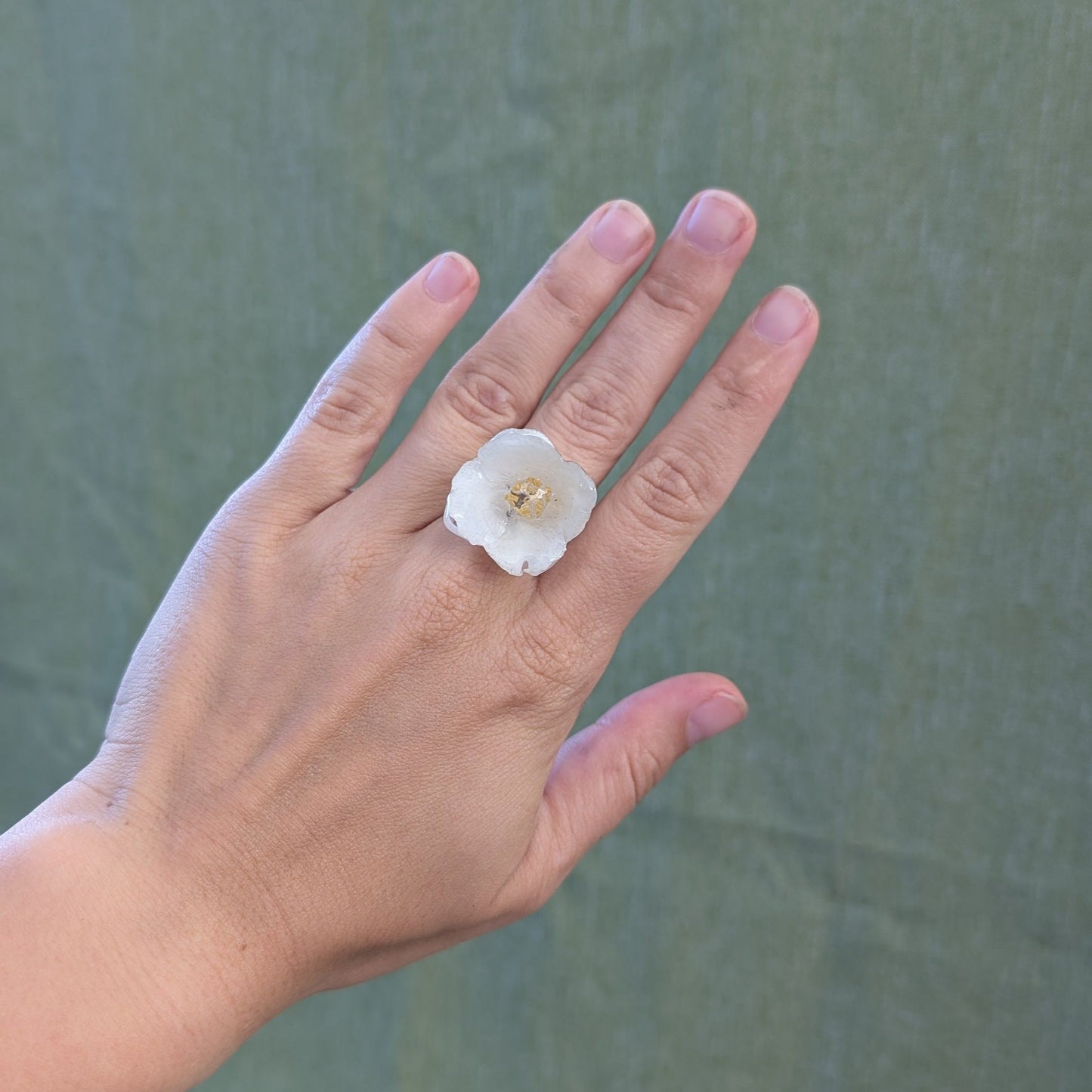 Sweet Mock-orange Ring