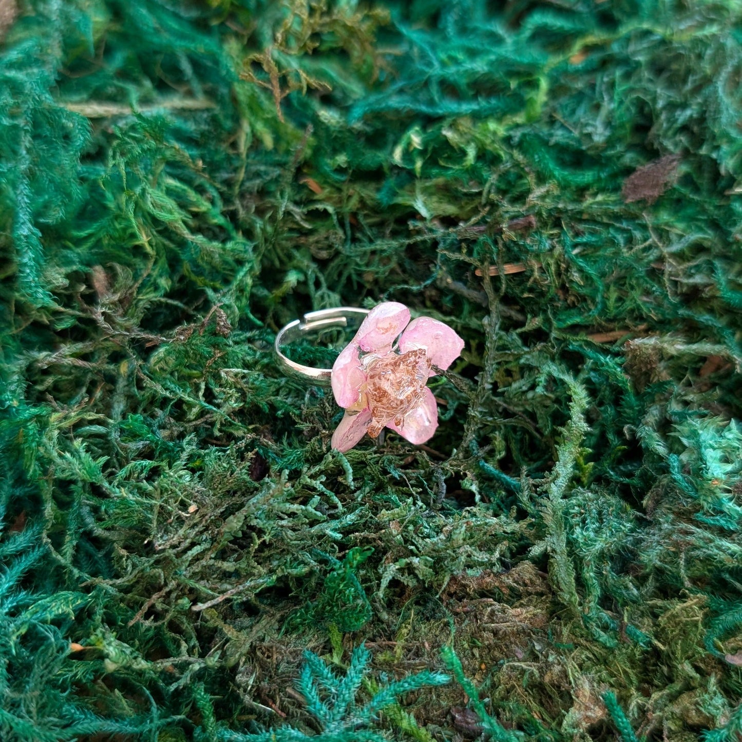 Himalayan Blackberry Ring