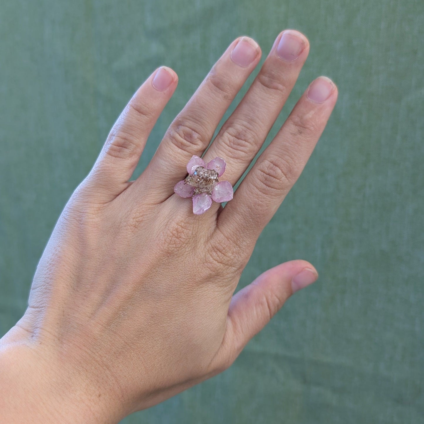 Himalayan Blackberry Ring