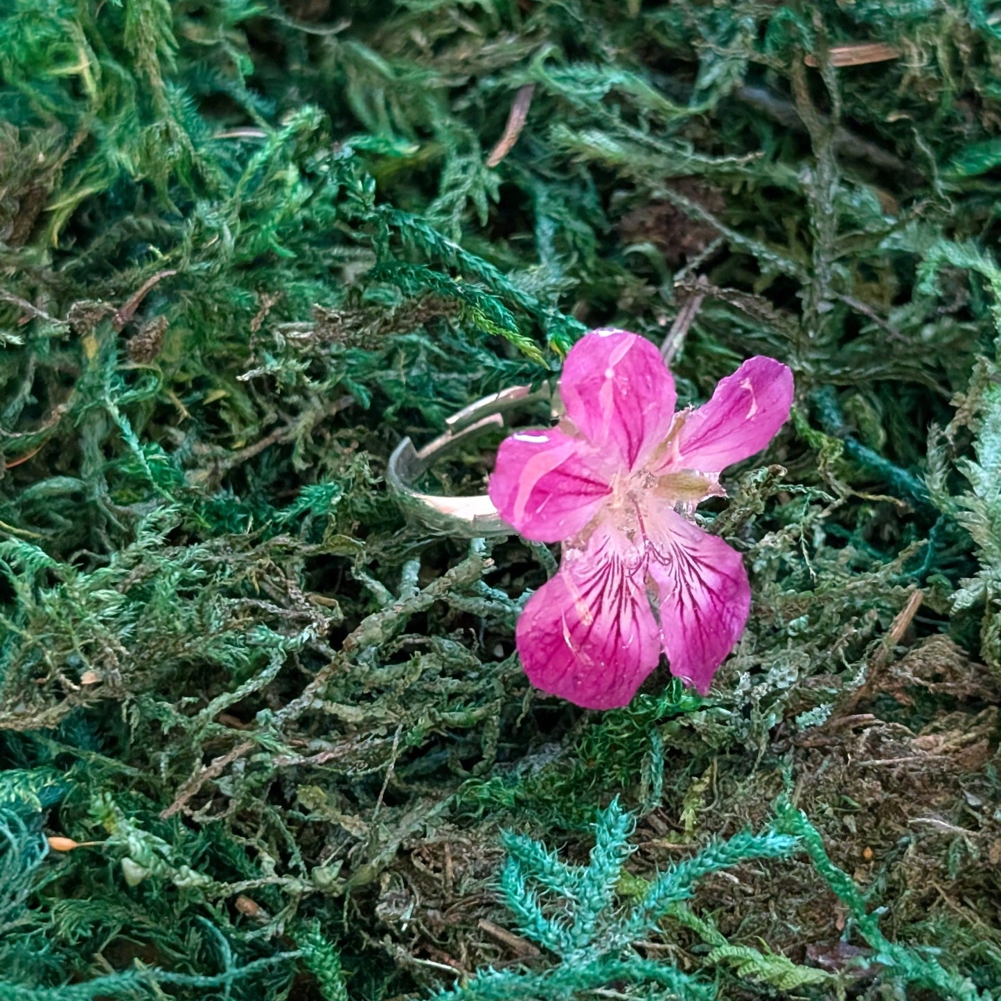 Wild Violet Ring