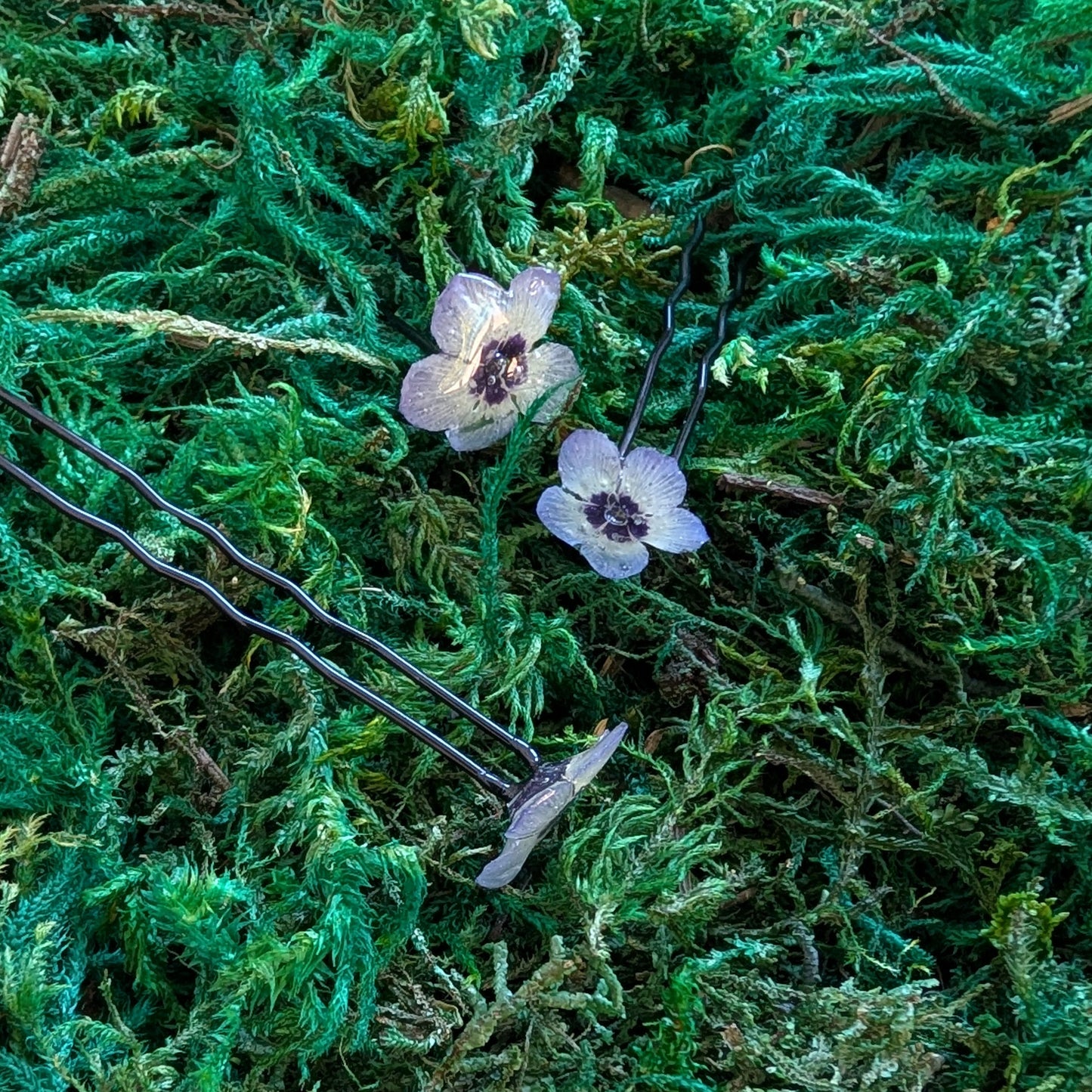 Gilia (Bird's Eye Gilia) Hair Pins
