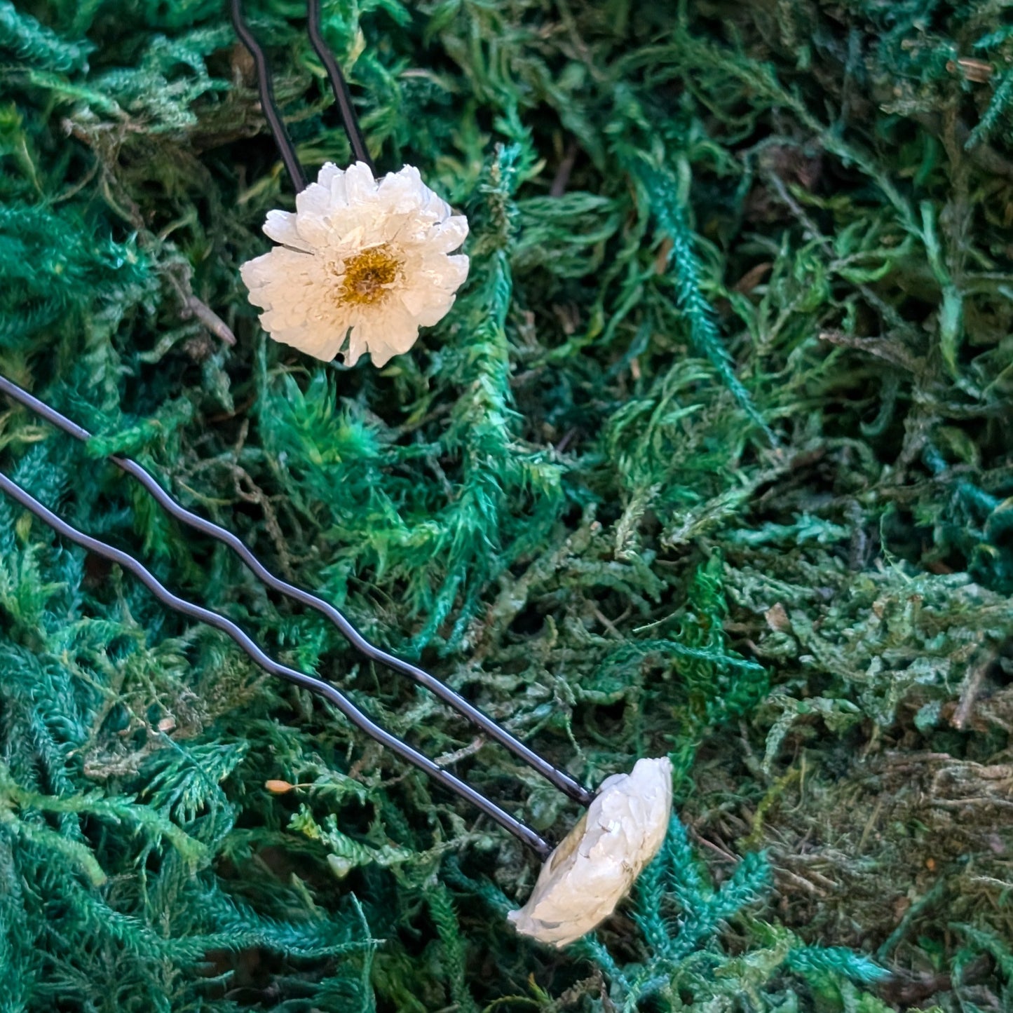 Feverfew Hair Pins