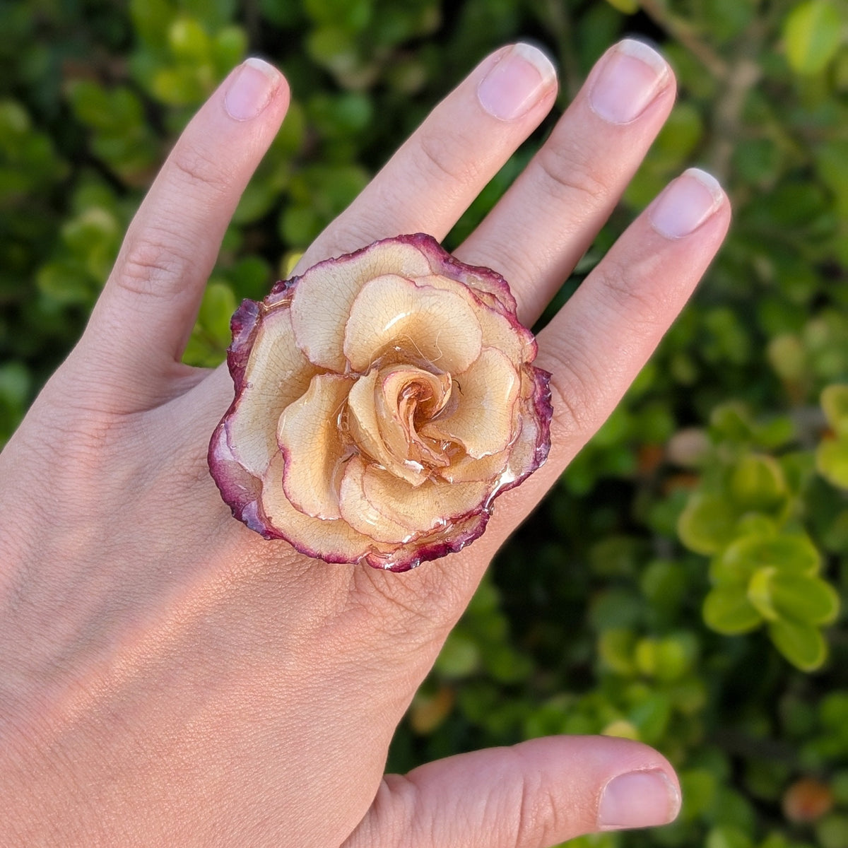 Rose Ring