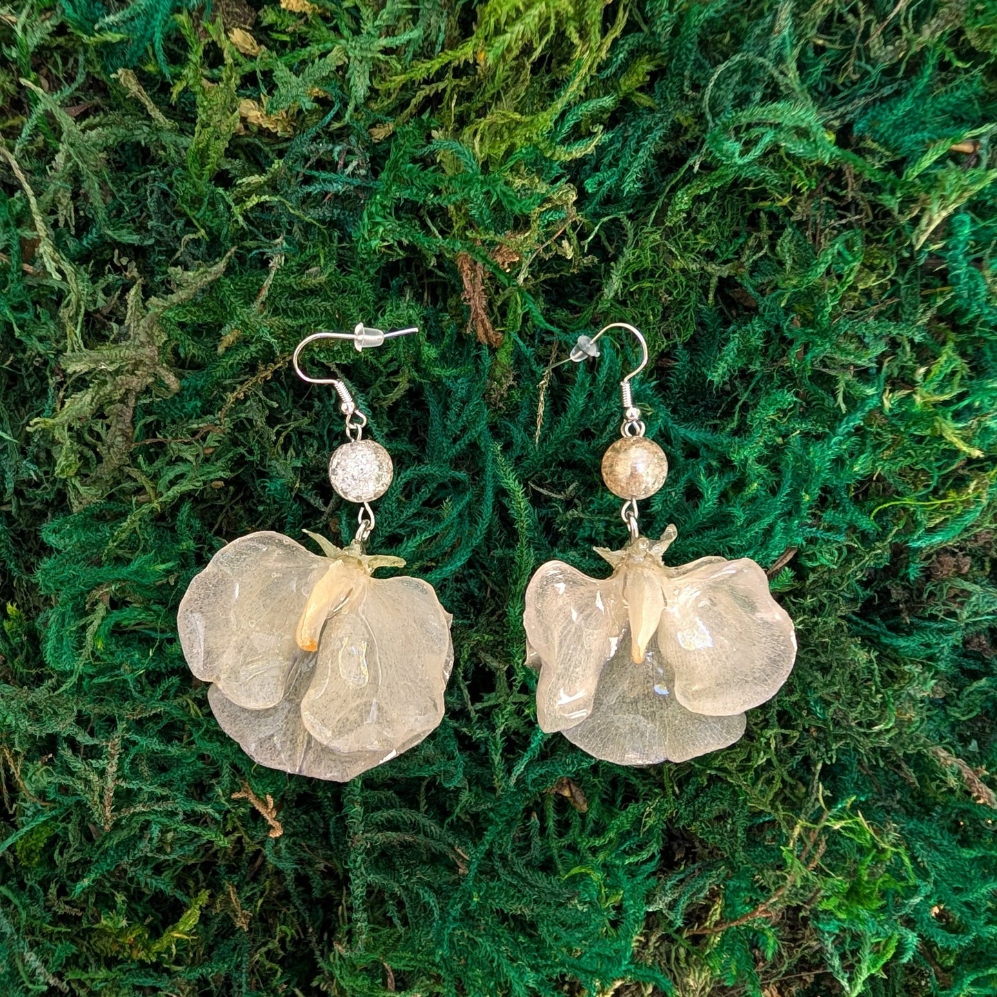 Sweet Pea Whispers