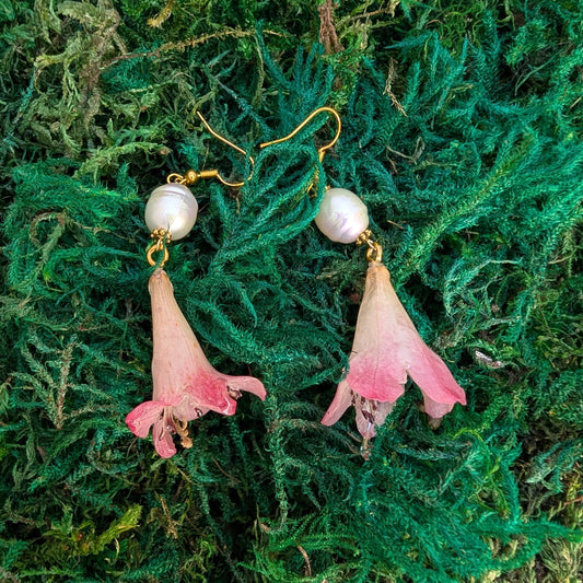 Blushing Trumpet Drops