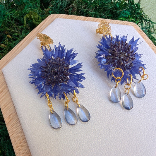 Blue Flame Cornflower Drops