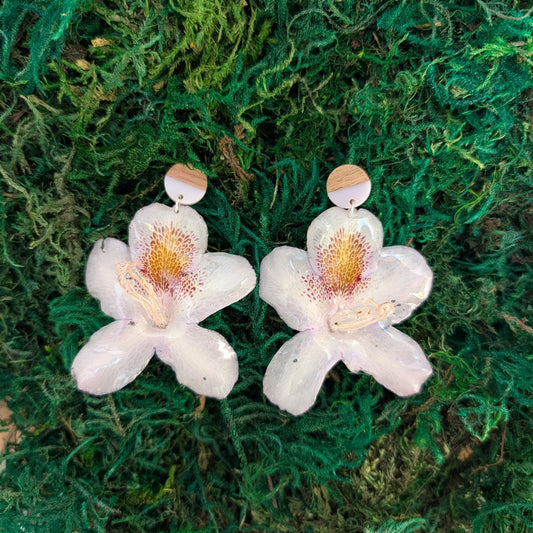 Orchid Glow Drops