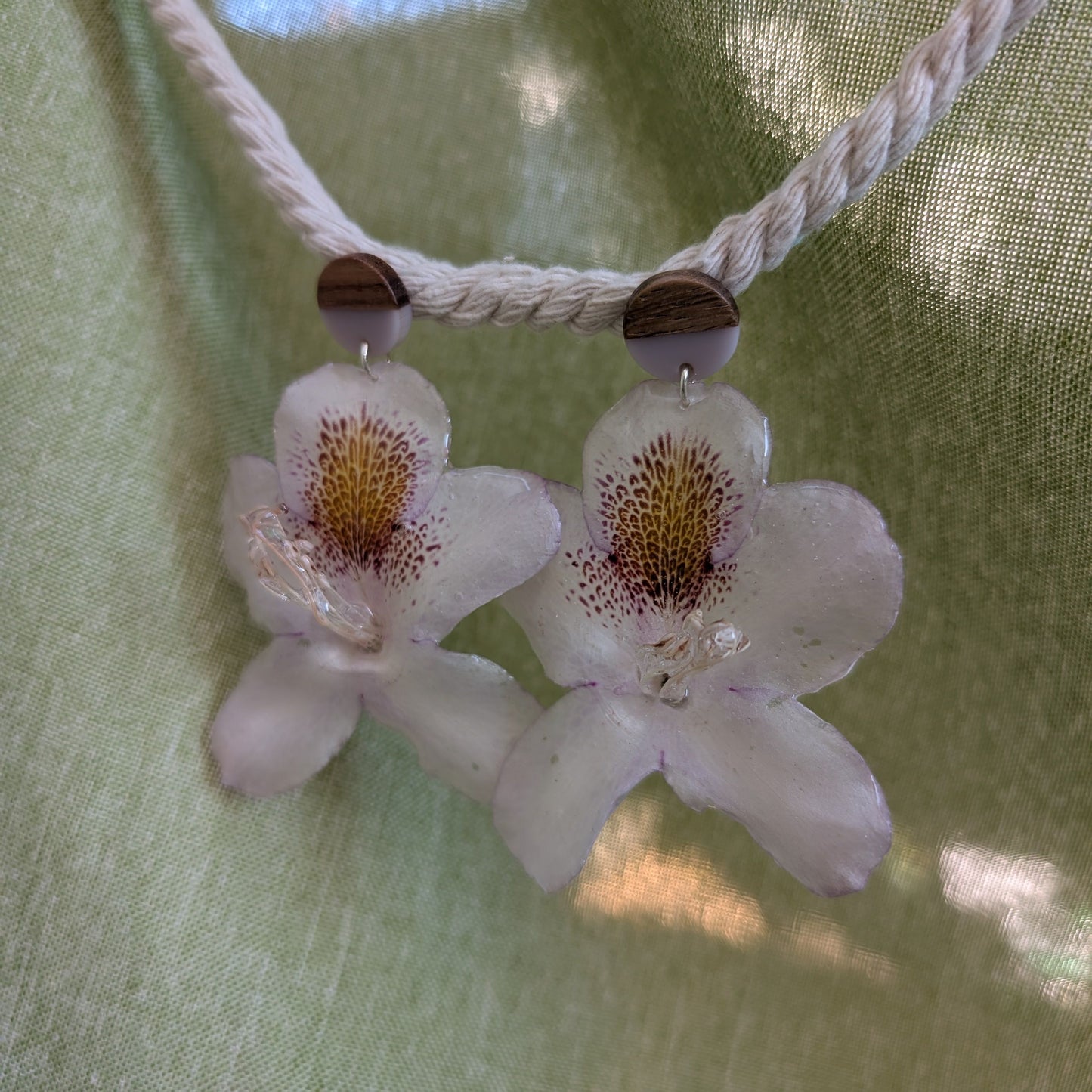 Orchid Glow Drops