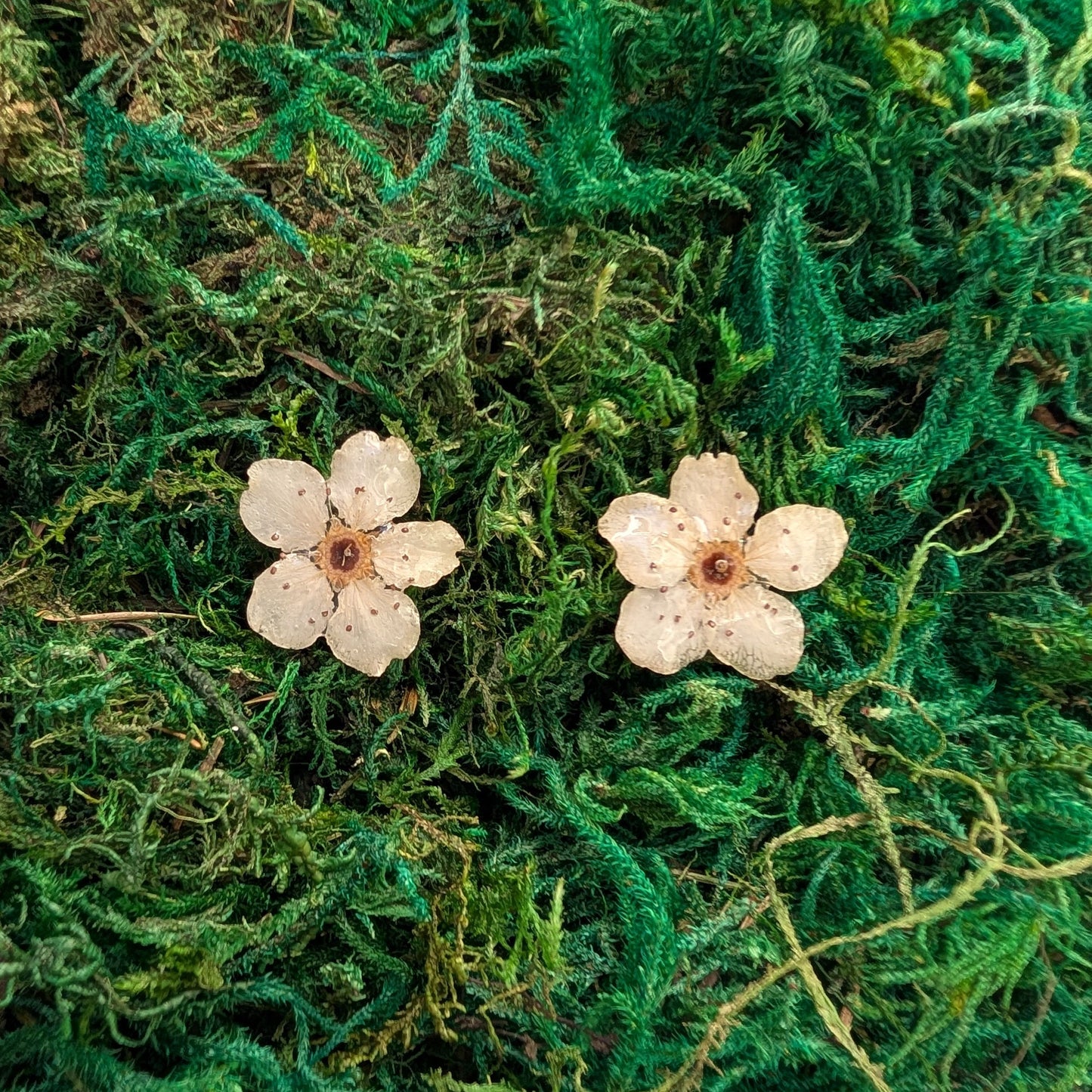 Apple bloom Stud Earrings