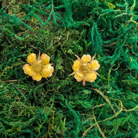 Geum (Avens) Stud Earrings