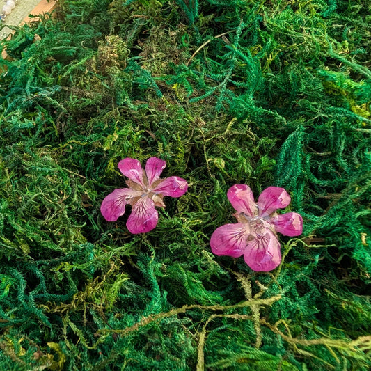 Wild Geranium Stud Earrings