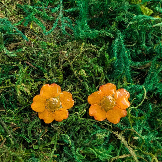 Geum (Avens) Stud Earrings