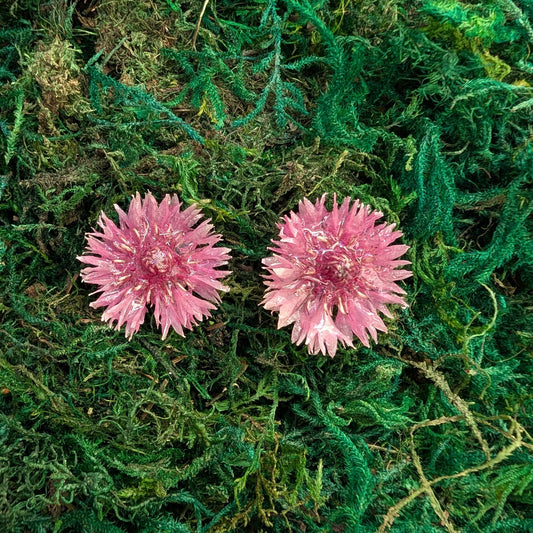 Cornflower Stud Earrings