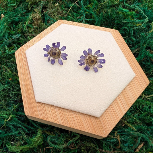 Purple Daisy Studs