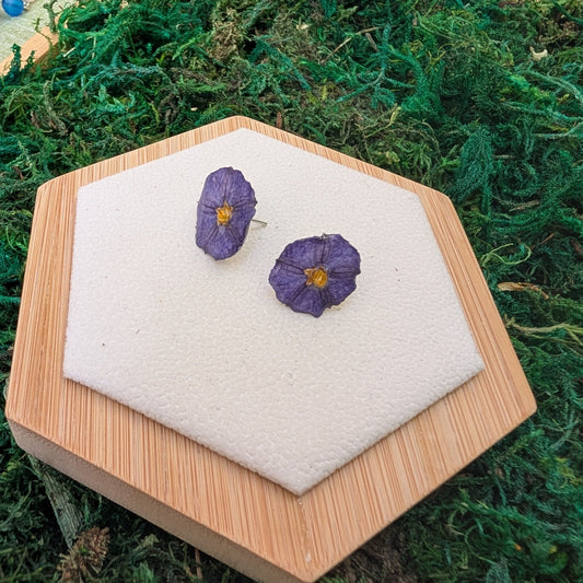 Violet Wildflower Studs