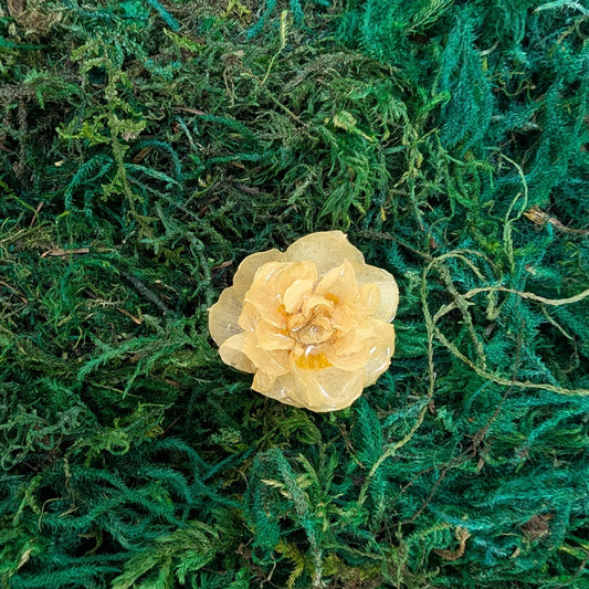 Golden Whisper Daffodil Ring