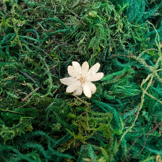 Whisper Petals Ring