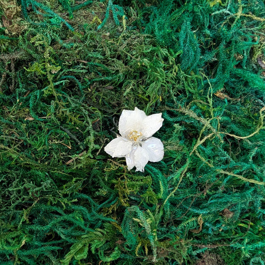 Snowdrop Bloom Ring
