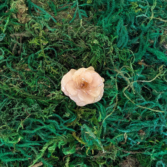 Real Cream Rose Ring