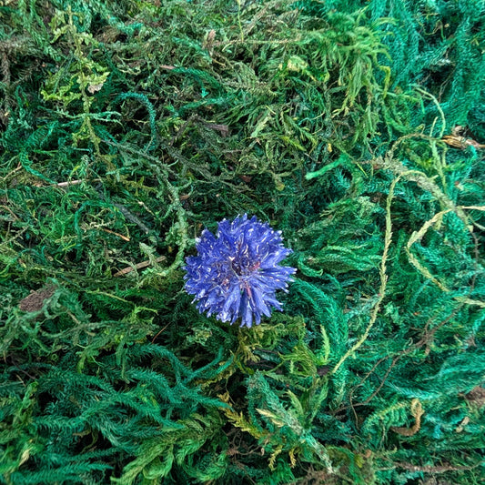 Cornflower Ring
