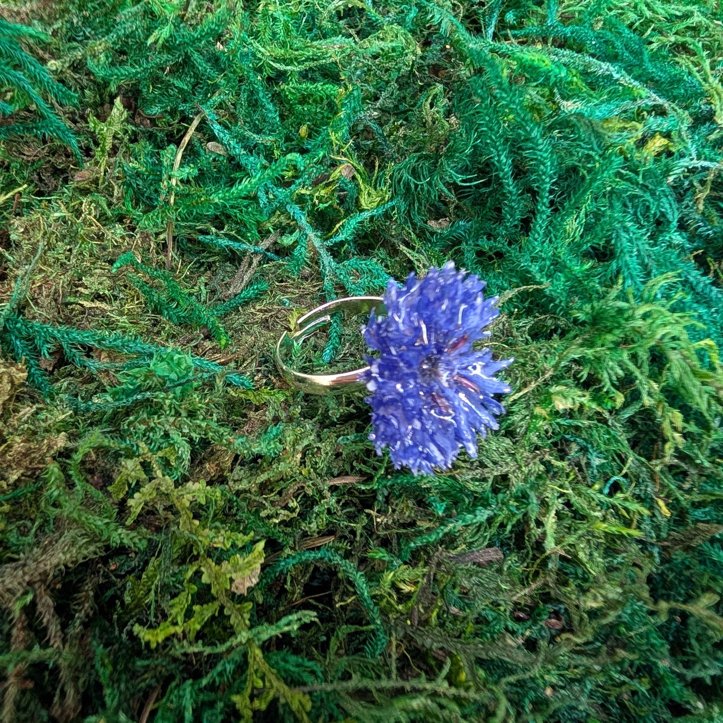 Cornflower Ring