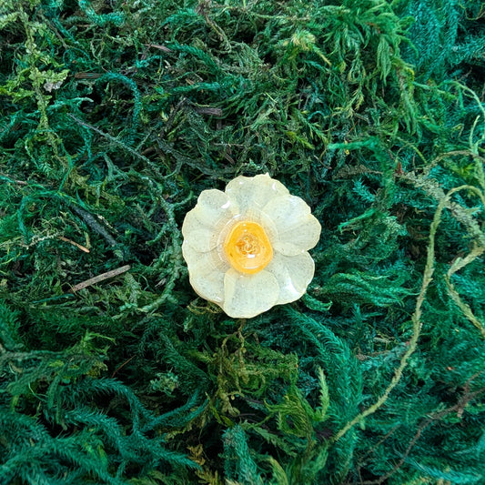 Golden Whisper - Real Daffodil Ring