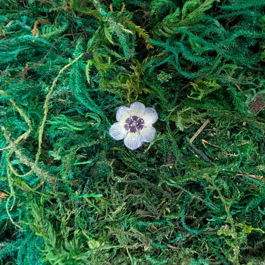 Gilia Ring