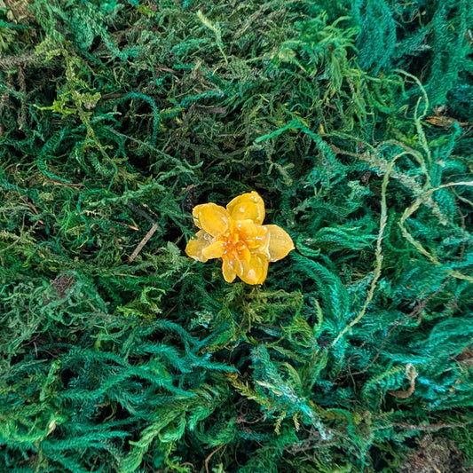 Daffodil Ring