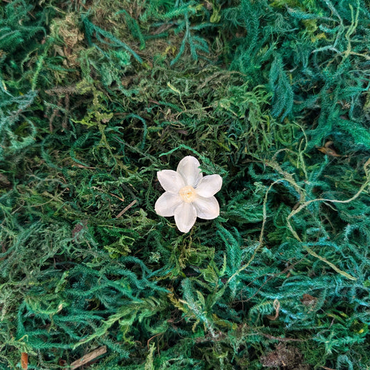 White Daffodil Flower Ring