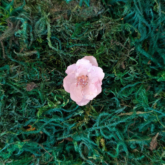 Apple Bloom Real Flower Ring
