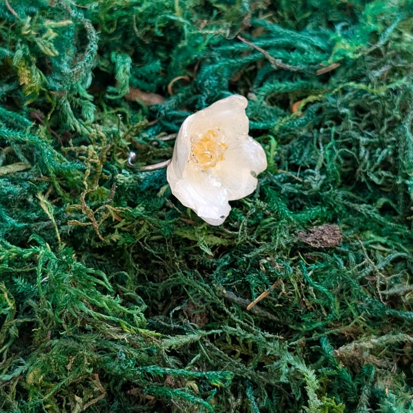 Sweet Mock-orange Ring