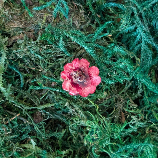 Deep Ruby Wildflower Ring
