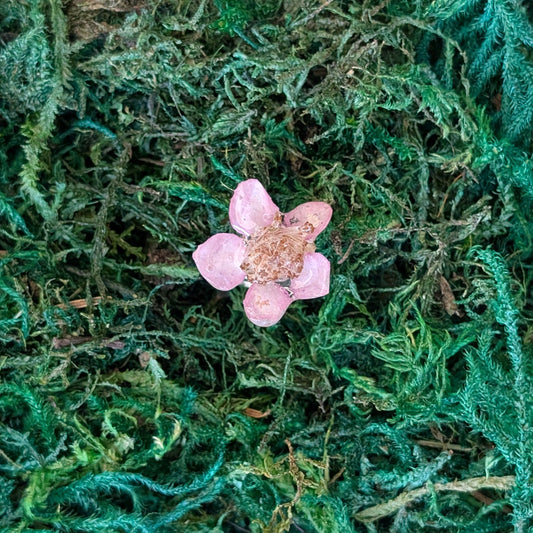 Himalayan Blackberry Ring