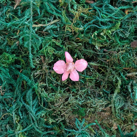 Wild Rose Ring