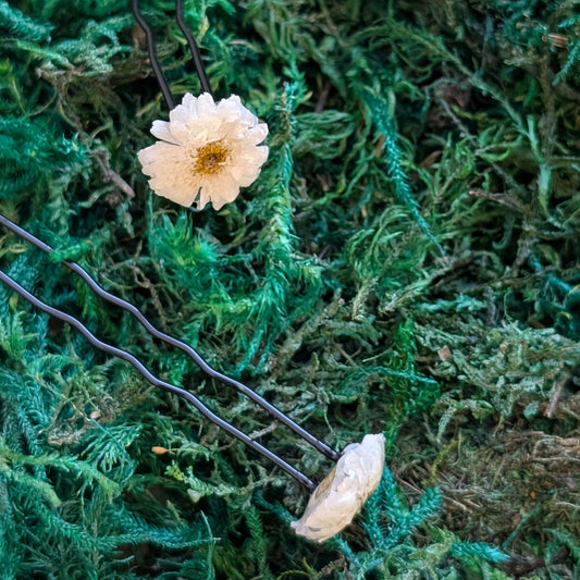 Feverfew Hair Pins