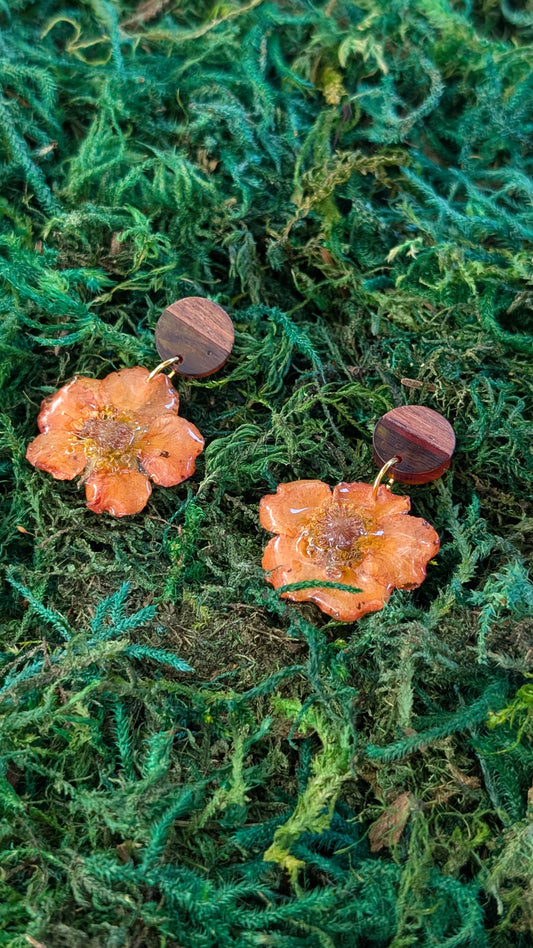 Golden Buttercup Earrings